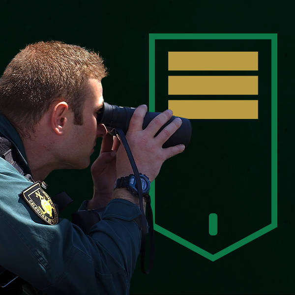 Curso de Ascenso Sargento Guardia Civil