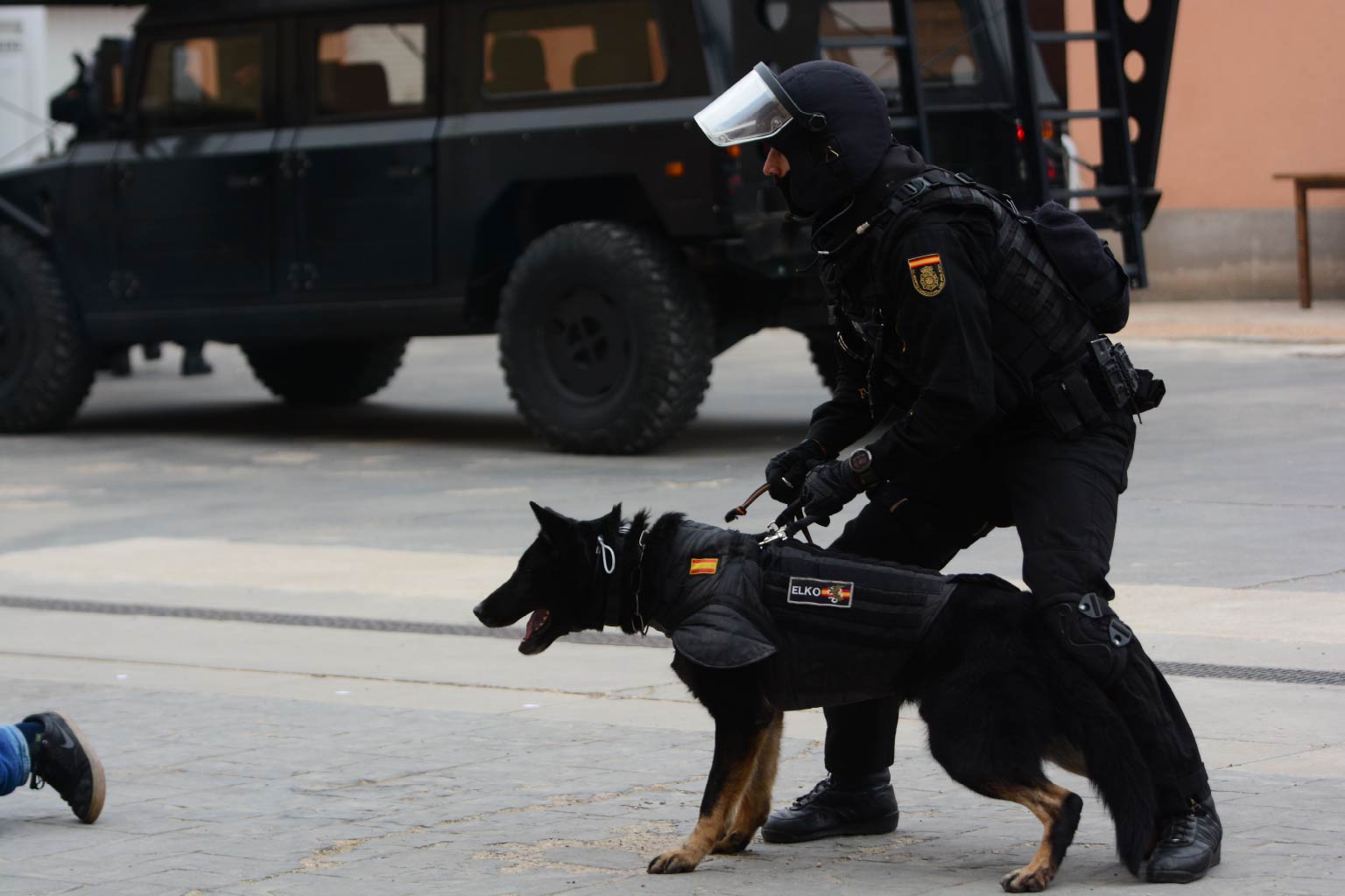 Patrulla canina de la Policía Nacional
