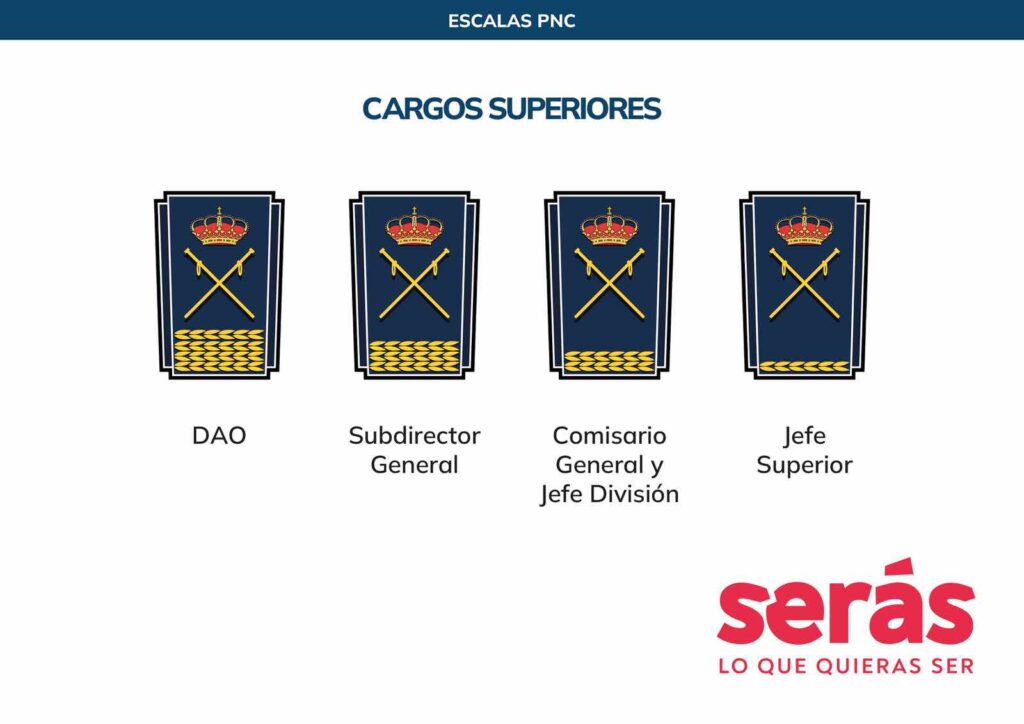 Divisas Policía Nacional: Cargos Superiores