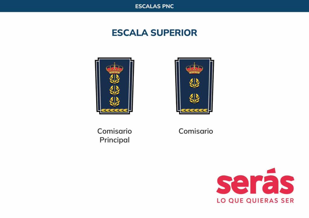 Divisas Policía Nacional: Escala Superior